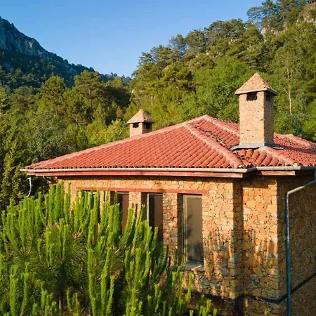 Montenegro فيلة