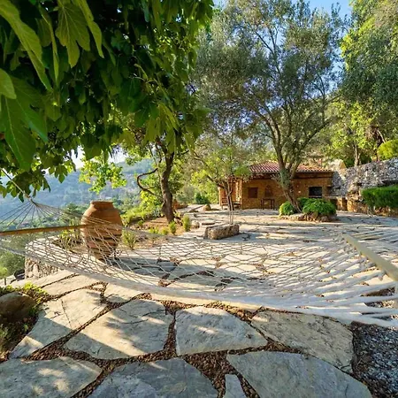 Montenegro فيلة
