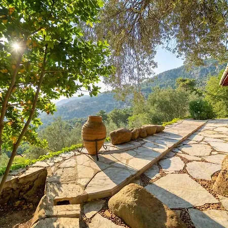 Montenegro فيلة *