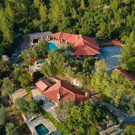 فيلة Montenegro