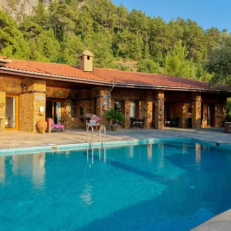فيلة Montenegro
