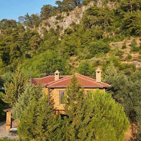 Montenegro فيلة *