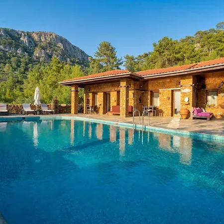 فيلة Montenegro *